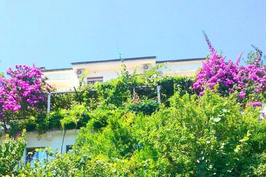Madra Rooms And Apartments Budva Exterior foto
